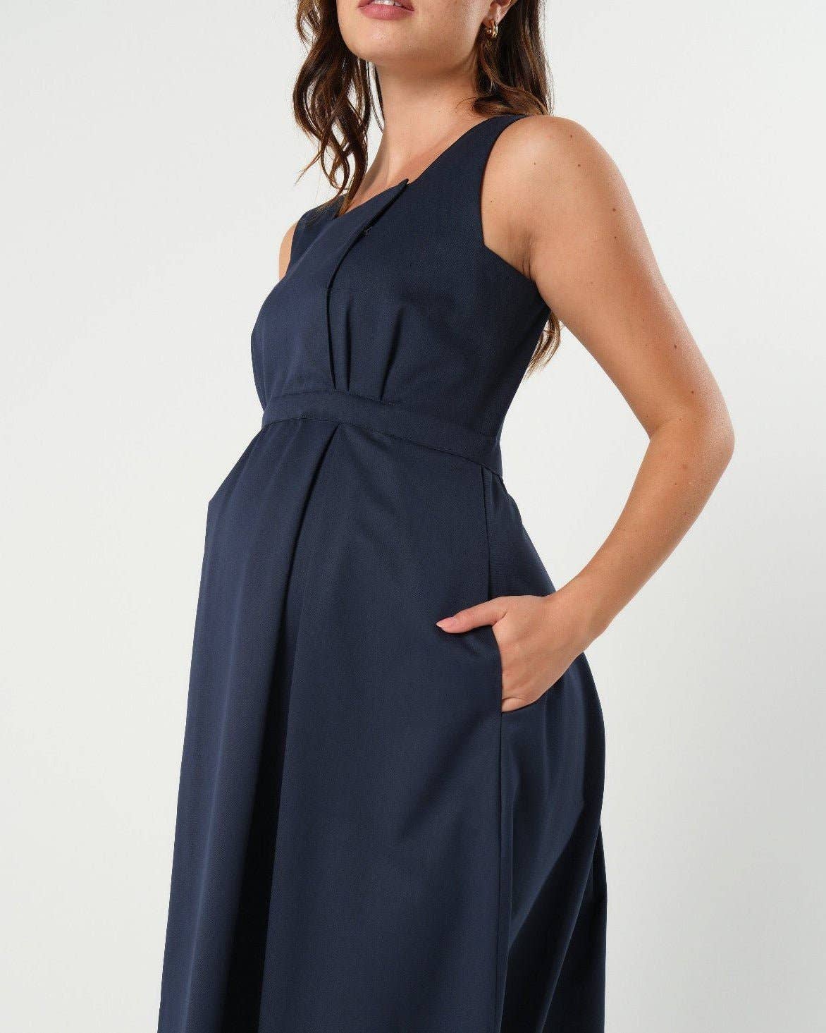 INTO THE BLUE Empire Maternity & Nursing Dress